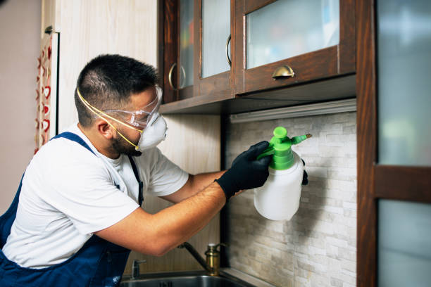 Best Pest Control Near Me  in Beechwood, MI