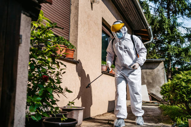 Best Best Pest Control Companies  in Beechwood, MI