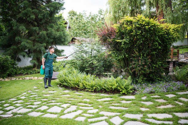  Beechwood, MI Pest Control Pros