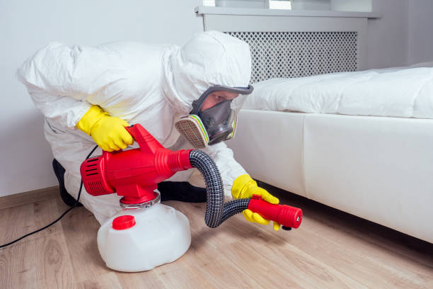 Best Affordable Pest Control Services  in Beechwood, MI