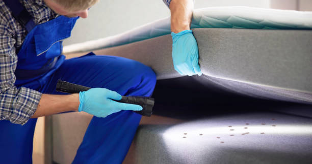 Best Pest Prevention Services  in Beechwood, MI