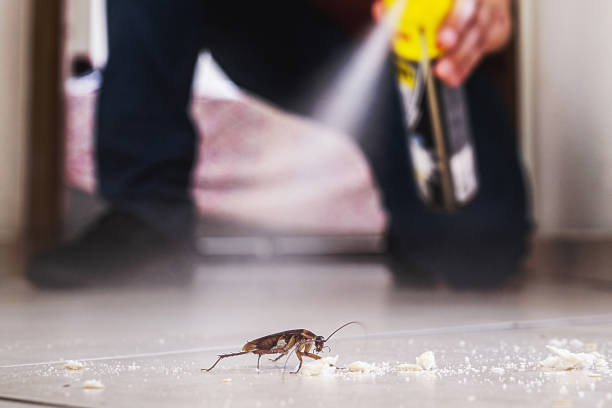 Best Pest Prevention Services  in Beechwood, MI