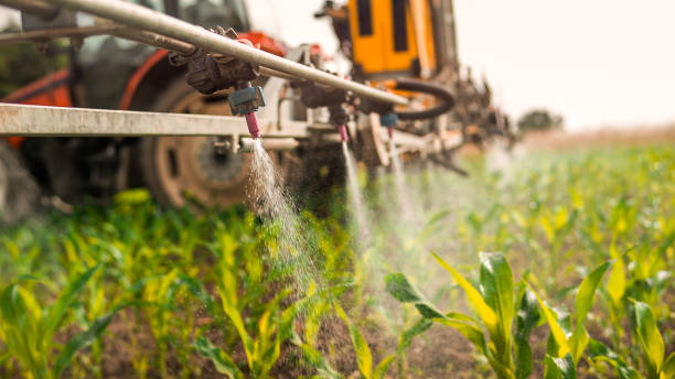 Best Pest Removal Services  in Beechwood, MI